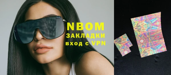 индика Рославль