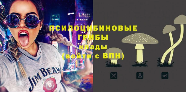 твердый Алексеевка