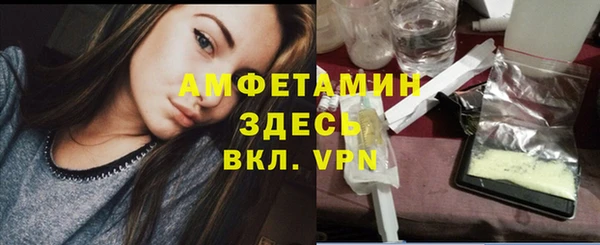 твердый Алексеевка