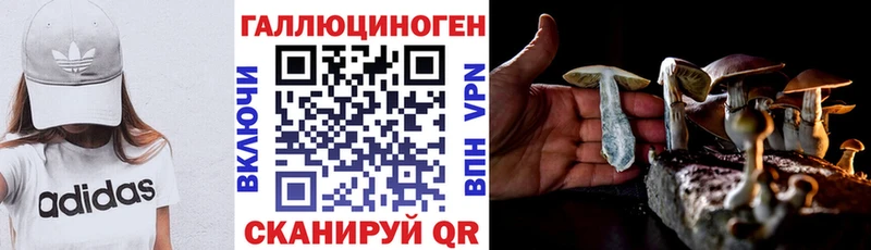 KRAKEN ONION  Уяр  Галлюциногенные грибы Cubensis 